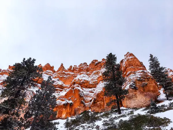 Bryce Canyon Ulusal Parkı 'nda kırmızı kaya ve taşlı kar manzaralı uçurumlar