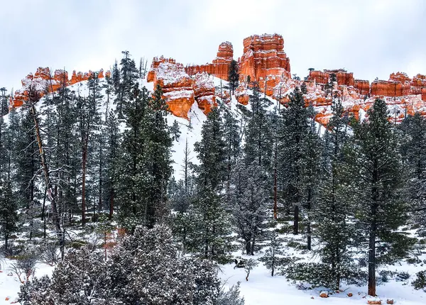 stock image Snow scene colorful cliffs with  red rock and stone in Bryce Canyon National Park