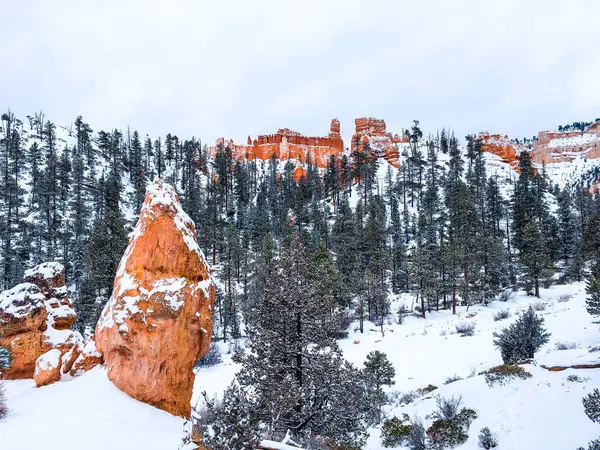 Bryce Canyon Ulusal Parkı 'nda kırmızı kaya ve taşlı kar manzaralı uçurumlar