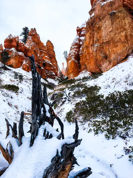 stock image Snow scene colorful cliffs with  red rock and stone in Bryce Canyon National Park