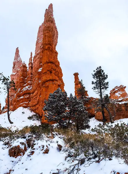 Bryce Canyon Ulusal Parkı 'nda kırmızı kaya ve taşlı kar manzaralı uçurumlar