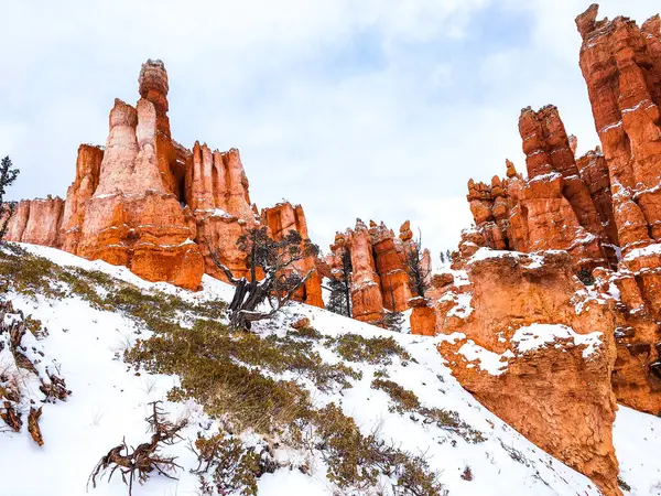 Bryce Canyon Ulusal Parkı 'nda kırmızı kaya ve taşlı kar manzaralı uçurumlar