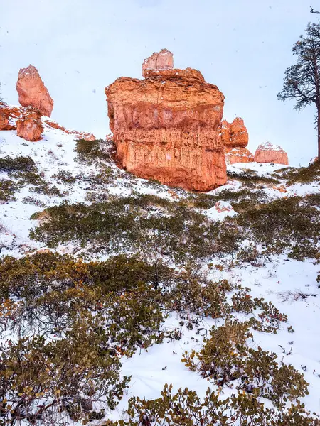 stock image Snow scene colorful cliffs with  red rock and stone in Bryce Canyon National Park