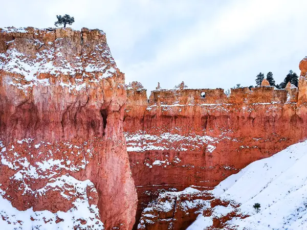 stock image Snow scene colorful cliffs with red rock and stone in Bryce Canyon National Park