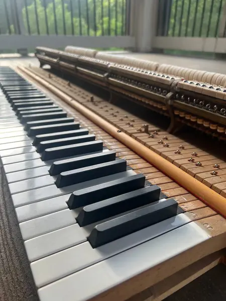 stock image close up of the inside of a baby grand piano on a deck