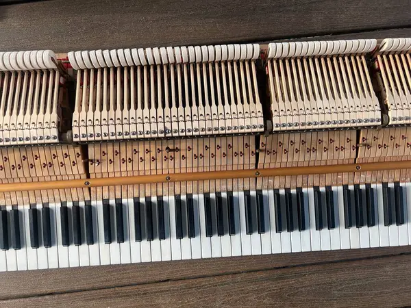 stock image inside of a baby grand piano on a deck