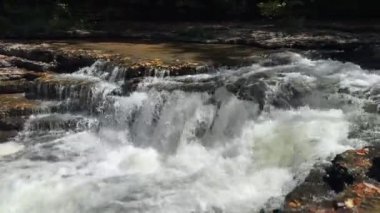 Su, ormandaki ağaçlarla çevrili huzurlu bir derede kayaların üzerinden akar.