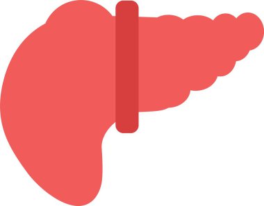 İnsan anatomisi organ simgesi, basit stil