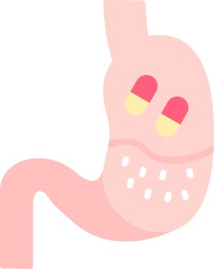 mide ikonu vektör illüstrasyonu