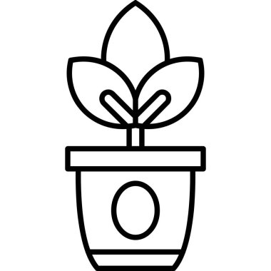 Çiçekli saksıda bitki