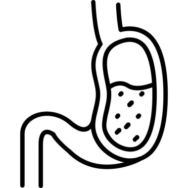 İnsan mide ikonu. Beyaz arkaplanda izole edilmiş web tasarımı için İnsan mide vektörü simgesi