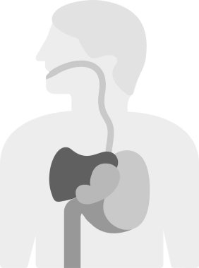 Gastrointestinal Tract Simgesi, Web Kullanımı için Basit Vektör İllüstrasyonu