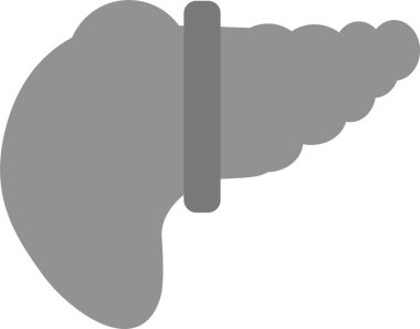 Web kullanımı için Karaciğer Simgesi, Basit Vektör İllüstrasyonu