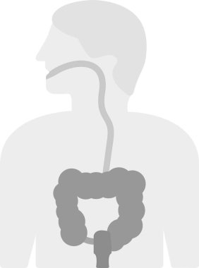 Geniş Bağırsak Simgesi, Web Kullanımı için Basit Vektör İllüstrasyonu