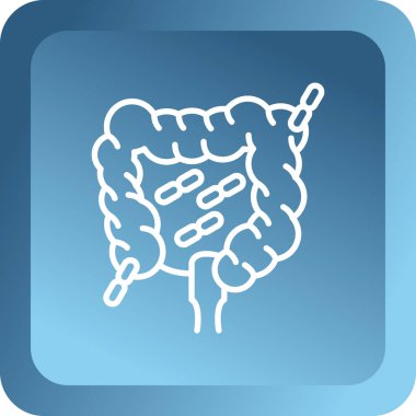 Bir bağırsak anatomisinin gösterimi