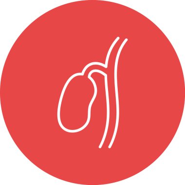 Böbreğin vektör illüstrasyon simgesi