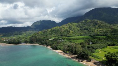 Enfes bir sahilin 4K hava manzarası, turkuaz dalgalar sergiliyor altın kumda hafifçe süzülüyor, dağınık palmiye ağaçları ve parlak mavi gökyüzünün altında berrak bir ufuk..