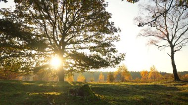 Güneşin doğuşunun nefes kesen güzelliğini deneyimleyin, ışığın ilk ışınları ufku aydınlatır ve gökyüzünü turuncu, pembe ve altın renkli canlı renklerle boyar. Doğanın günlük şaheserine tanık olun. Dünya uyanıyor, barış anı sunuyor..