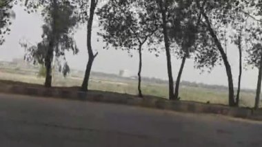 Vidoe 'ya giden araçtan yol ve ağaçların görüntüsü