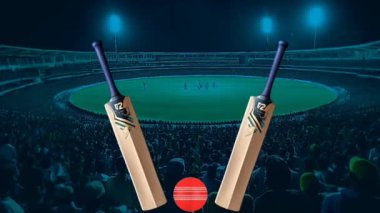 Yirmi Dünya Kupası Kutlama video animasyonu