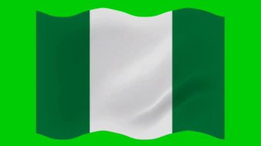 Nijerya Dalgalanan Bayrağı Yeşil Arkaplanda izole edildi