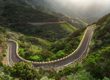 Manzaralı bir dağ yolu yemyeşil tepelerin arasından esiyor, doğada pitoresk bir yolculuk sunuyor..