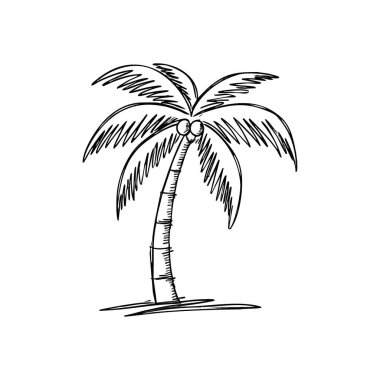 Tropik Palmiye Ağacı Keki. Egzotik bir bitkinin sanatsal çizimi. Bu basit illüstrasyon tatil, sıcak hava ve huzurlu ada kaçamaklarını hatırlatıyor..
