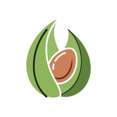 Tohumlu taze Avokado Yarısı. Olgun yeşil meyve tabloları kremsi merkezini ortaya çıkarıyor. Bu sağlıklı görüntü besleyici yiyeceği ve saf sağlığı simgeliyor. Temiz grafik.