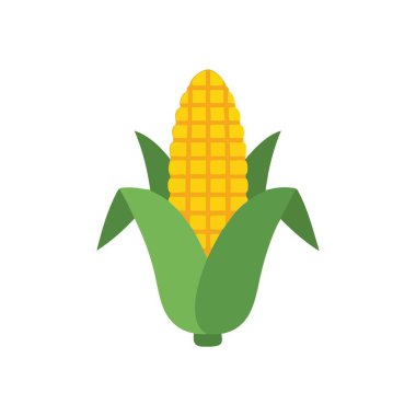 Taze Sarı Mısır Kulak İllüstrasyonu. Bu canlı ürün, sağlıklı beslenmeyi ve hasat mevsiminin cömertliğini simgeler. Sağlıklı beslenme temaları ve tarım için ideal.