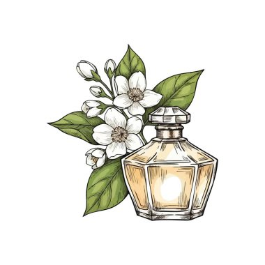 Zarif Yasemin Koku Şişesi. Narin beyaz botanik çiçeklerinin arasında sofistike bir koku tabakasının el çizimi. Saflığı, doğal güzelliği ve lüksü temsil eder..