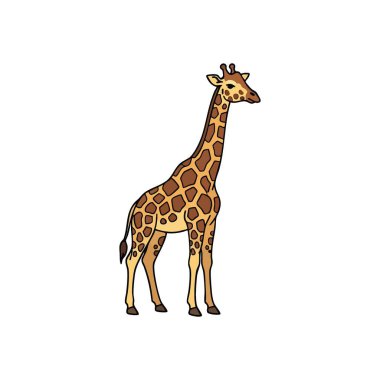 Zarif Zürafa Karakteri Grafiği. Karanlık bir arka planda uzun boyunlu bir memelinin bu çarpıcı tasviri eşsiz desenli kürkünü vurgular. Bakış açısını, nazik gücü ve....