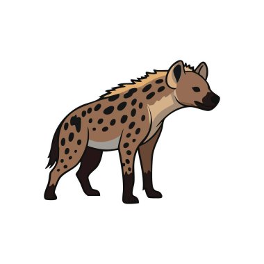 Benekli Sırtlan Çizgi Film Çizimi. Afrika 'daki bir memeliyi gösteren ayırt edici bir grafik. Bu eşsiz hayvan vahşi doğayı ve haylaz bir karakteri temsil ediyor. Eğitici içerik için ideal.