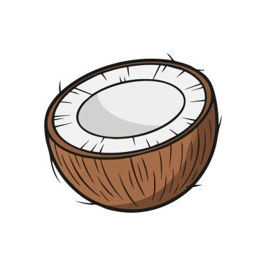 Taze Hindistan Cevizi Yarısı Çizimi. Bu canlı dijital sanat eseri bölünmüş bir palmiye meyvesini gösteriyor. Egzotik yerler ve sağlıklı besinler öneriyor..