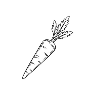Beyaz Havuç Çizgisi Sanat Çizimi. Sağlıklı bir sebze kökü içeren belirgin bir minimalist grafik. Temiz hali, doğal tazeliği ve organik iyiliği iletir..