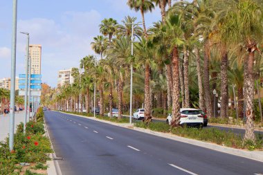 Alicante, İspanya - 2024.04.27. - Avenida de Loring. Uzun palmiye ağaçları ve canlı yeşilliklerle dolu geniş bir yol. Kenarlarında park etmiş arabalar var. Arkaplanda büyüleyici binalar yükselir, parlak bir gökyüzü altında pitoresk bir şehir manzarası yaratır.