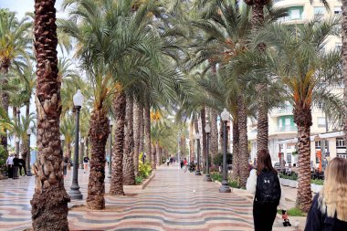 Alicante, İspanya - 2024.04.27. Passeig Esplanada d 'Espanya, uzun palmiye ağaçları ve renkli asfalt desenleriyle dolu canlı bir gezinti alanı. İnsanlar, yakındaki dükkanların ve kafelerin hareketli atmosferinin tadını çıkarırken yol boyunca rahatça geziniyorlar..