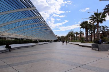 Torrevieja, İspanya - 2024.04.30. - Paseo Vistalegre - palmiye ağaçları ve banklarla kaplı, parlak mavi gökyüzü altındaki hareketli atmosferin tadını çıkarmaya davet eden, kıvrımlı bir gölgeliği olan modern bir gezinti alanı..