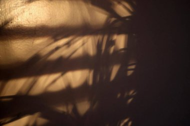 Bu görüntü, duvardaki gölgelerin zarif oyununu yakalar ve sıcak ışıkla dinamik desenler yaratır. Ritmik düzenleme, uzaya derinlik katarak sanatsal bir hissi çağrıştırıyor. Gelişmişlik gerektiren tasarım projeleri için ideal..