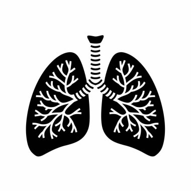 Human Lungs Anatomy Illustration - Respiratory System Diagram, Bronchial Tree, Alveoli Structure, Medical Science, Pulmonary Health clipart