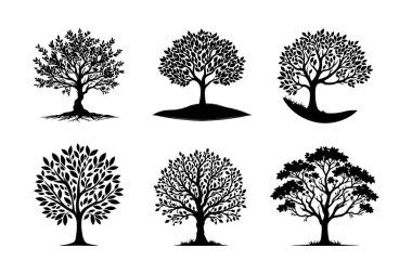 Beyaz Arkaplanda Tasarım İçin Basit Ağaç Silüeti Koleksiyonu, Grafik Ağaç Elementleri Kümesi.