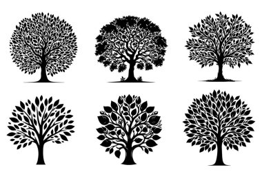 Beyaz Arkaplanda Tasarım İçin Basit Ağaç Silüeti Koleksiyonu, Grafik Ağaç Elementleri Kümesi.