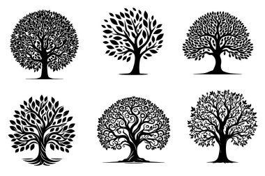 Beyaz Arkaplanda Tasarım İçin Basit Ağaç Silüeti Koleksiyonu, Grafik Ağaç Elementleri Kümesi.