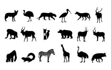 Beyaz arkaplanda Vektör Hayvan Silüetleri Koleksiyonu