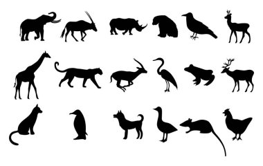Beyaz Arkaplanda Büyük Hayvan Siluetleri Vektör illüstrasyonuName