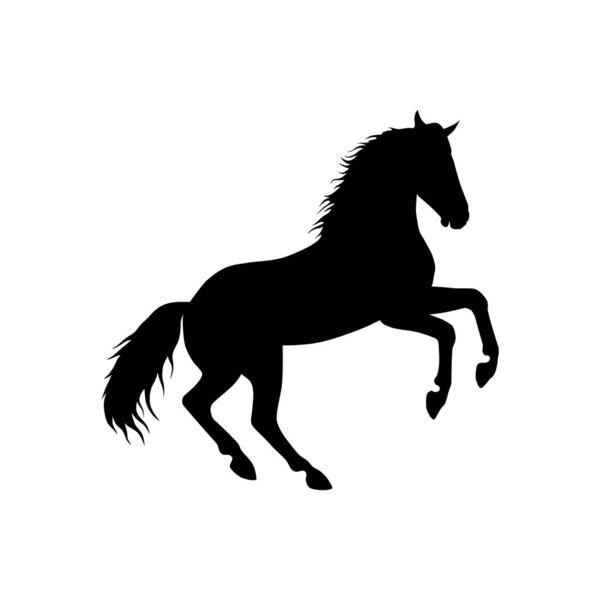 Векторная иллюстрация силуэта бегущей лошади на белом фоне.