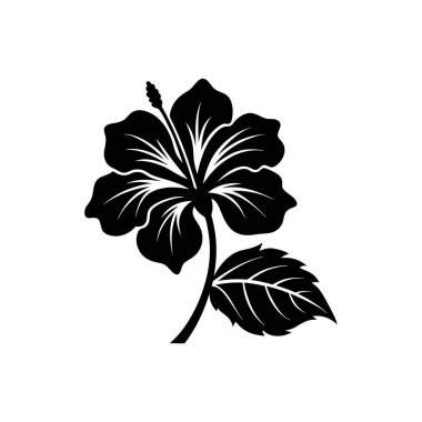 Beyaz Arkaplan üzerinde Hibiscus Çiçeği vektör çizimi