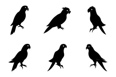 Beyaz Arkaplanda Şirin Papağan Kuşları Vektör Siluet Sanatı