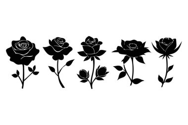 Siluet vektör resimli dekoratif güller.