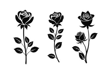Siluet vektör resimli dekoratif güller.