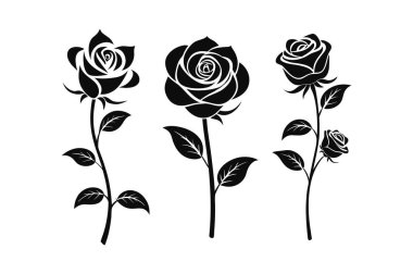 Siluet vektör resimli dekoratif güller.